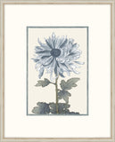 Asian Blue &  White Flowers IV