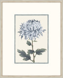Asian Blue &  White Flowers V