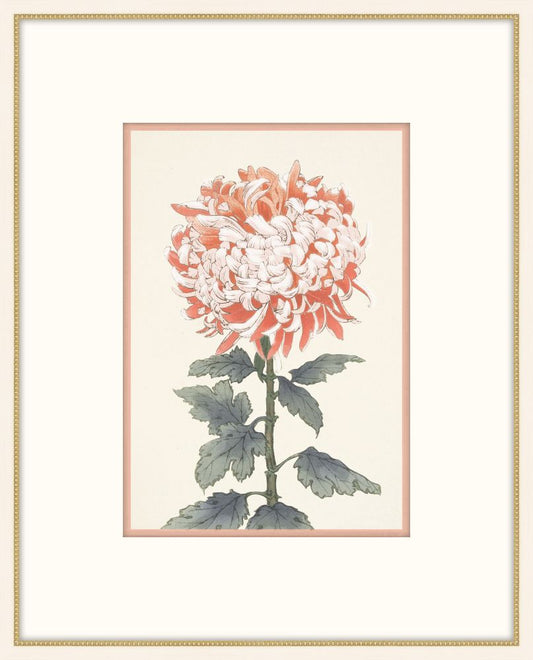 Asian  Coral & White Flowers I