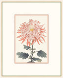 Asian  Coral & White Flowers III