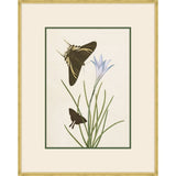 Two butterflies near a lily