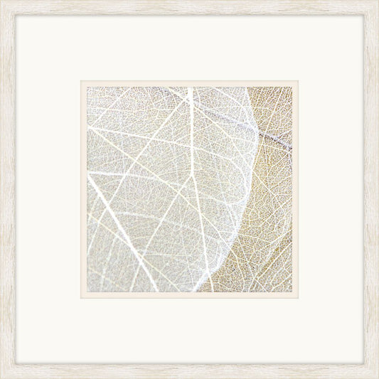 Soulful Leaves VI