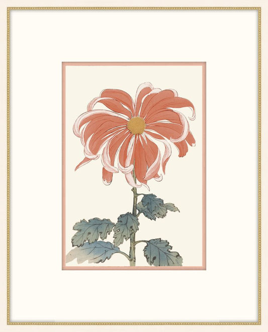 Asian  Coral & White Flowers V