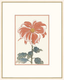 Asian  Coral & White Flowers V