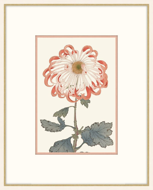 Asian  Coral & White Flowers VI