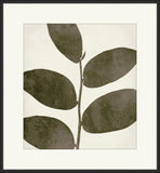 Charcoal & White Leaves I