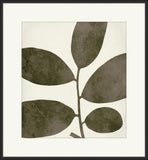 Charcoal & White Leaves II