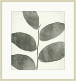 Leaves of Pine Brook I