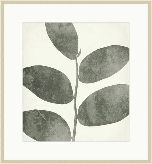 Leaves of Pine Brook I