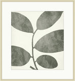 Leaves of Pine Brook II