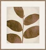 Leaves of Hidden Valley I