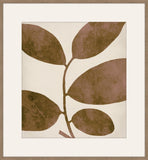 Leaves of Hidden Valley II