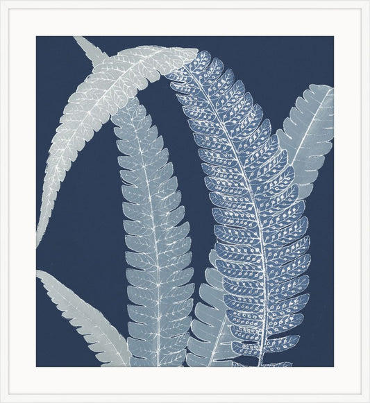 Ferns on Blue  I