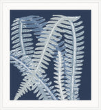 Ferns on Blue  II