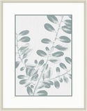Inky Fern in Mint  IV