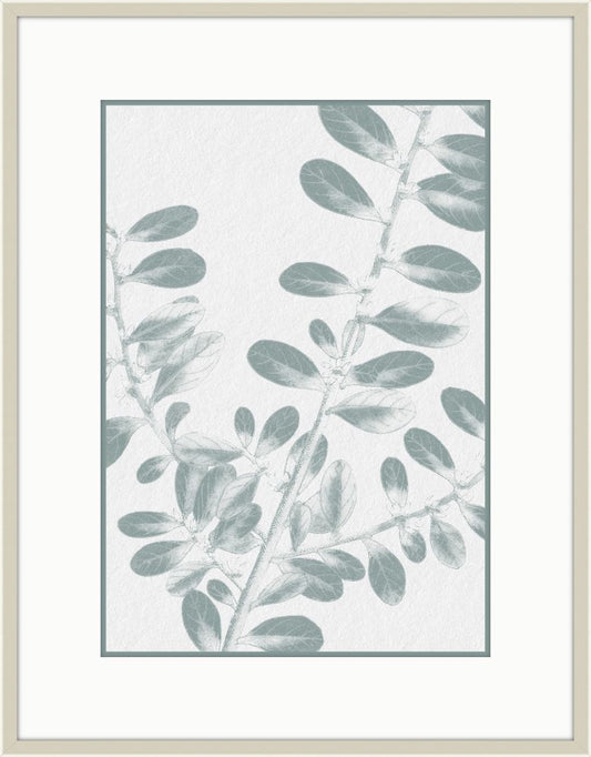 Inky Fern in Mint  IV
