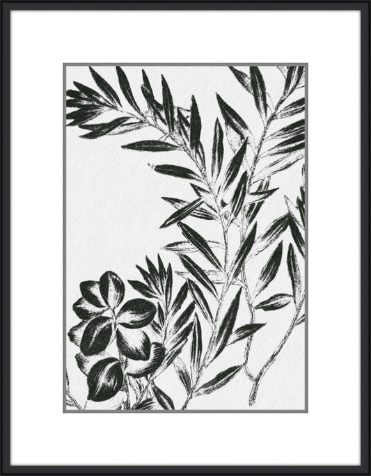 Inky Fern in Black I