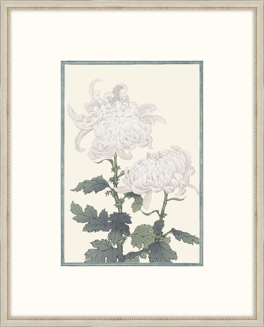 Asian White Flowers II