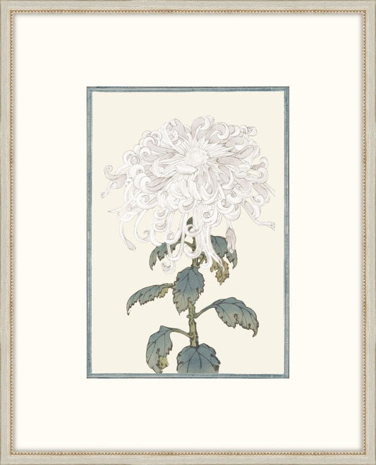 Asian  White  Flowers III