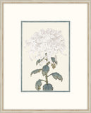 Asian  White  Flowers III