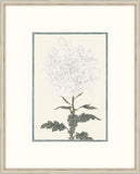 Asian  White  Flowers IV