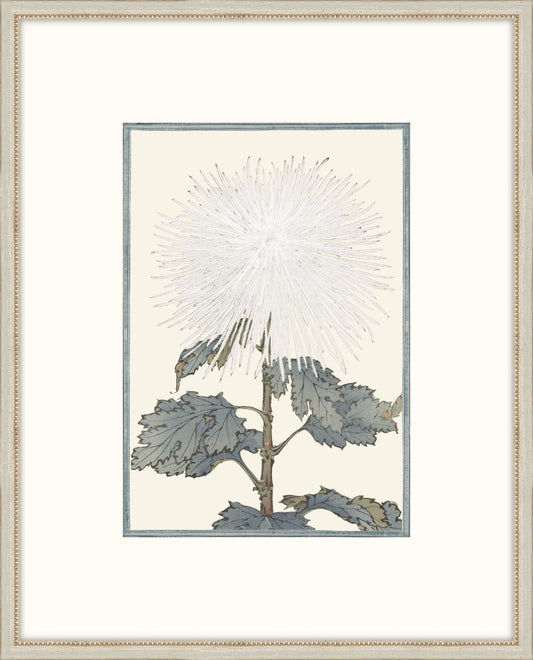 Asian  White  Flowers V