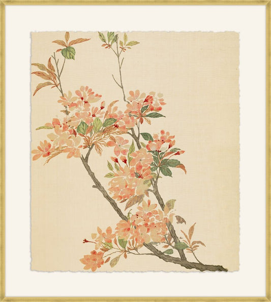 Crabapple Blossoms in Coral