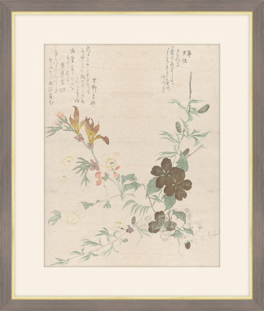 Cherry Blossoms & Yambuku Flower