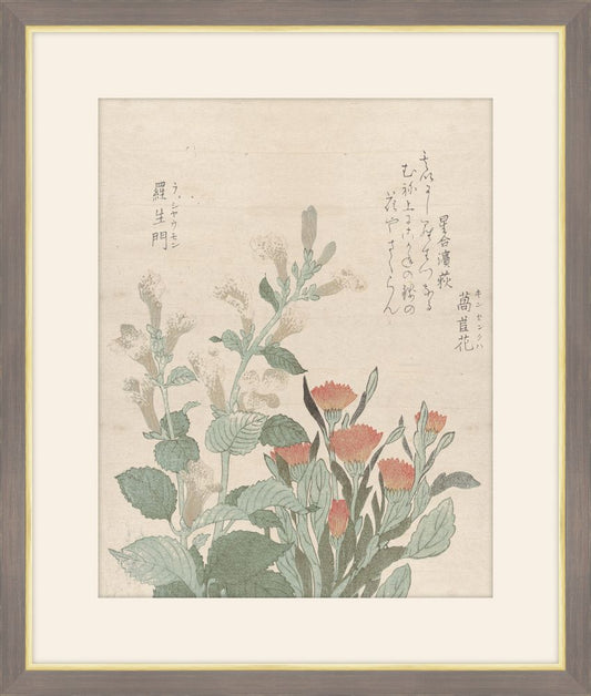 The Common Marigold & Rojoman Flowers