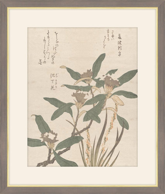 Daphne Odori and Mojisuri-so