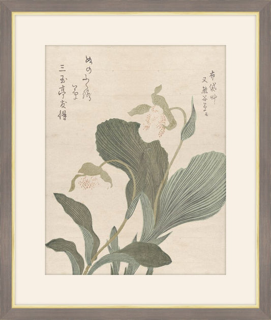 Hotei Flowers
