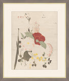 Cut Flowers: Clematis, Bush Clover, Iris, Camellia, and Azalea