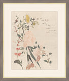 Rose, Iris, Primrose and Daisy