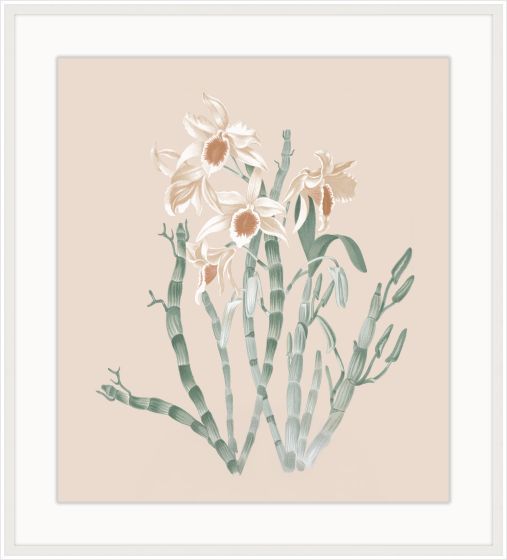 Beautiful Orchid Petite I