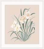 Beautiful Orchid Petite III