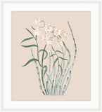 Beautiful Orchid Petite IV