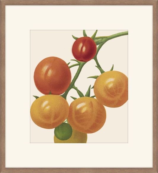 Cherry Tomatoes