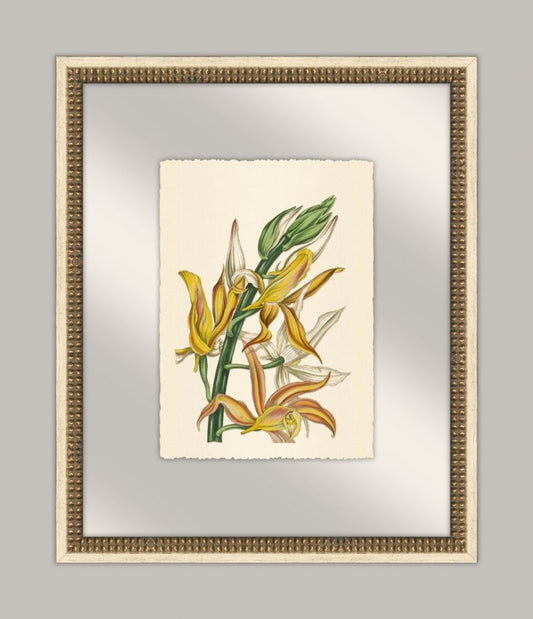 Pretty Botanical in Glass I