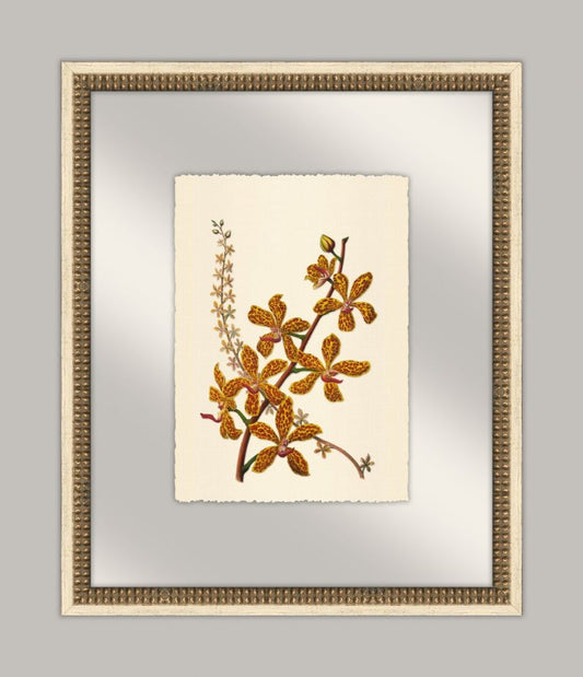 Pretty Botanical in Glass II