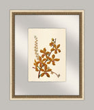 Pretty Botanical in Glass II