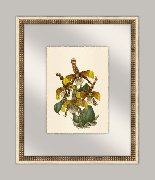 Pretty Botanical in Glass IV