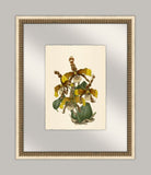 Pretty Botanical in Glass IV