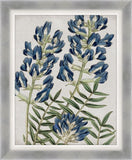 Blues In My Heart II