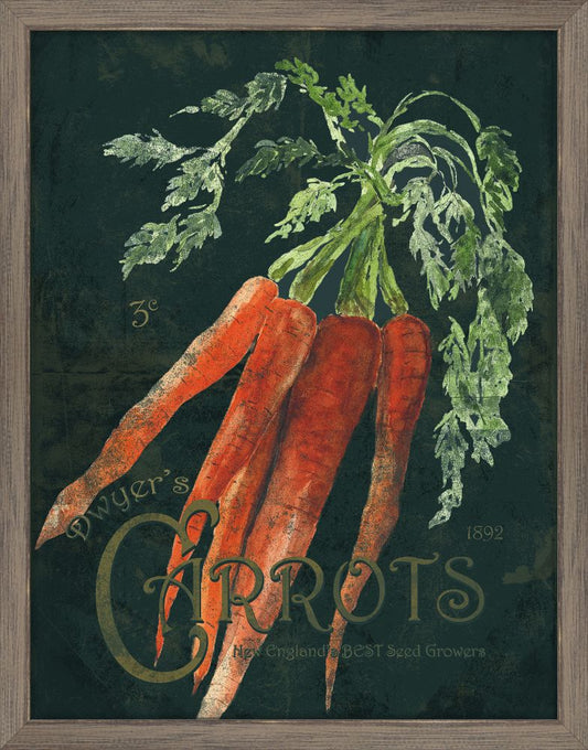 Seed Packet Carrots