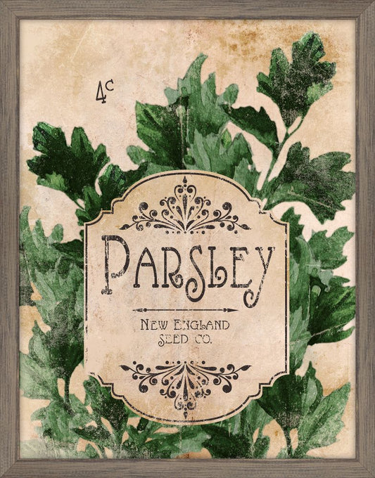 Seed Packet Parsley