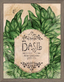 Seed Packet Basil