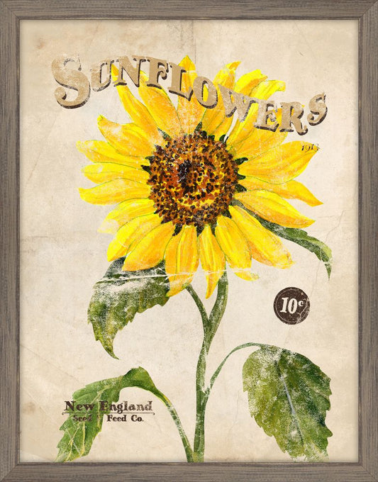 Seed Packet Sunflower