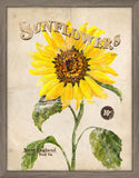 Seed Packet Sunflower
