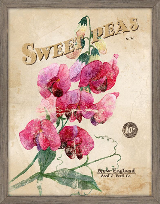 Seed Packet Sweet Peas