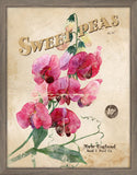 Seed Packet Sweet Peas